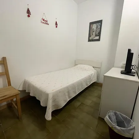 Borras